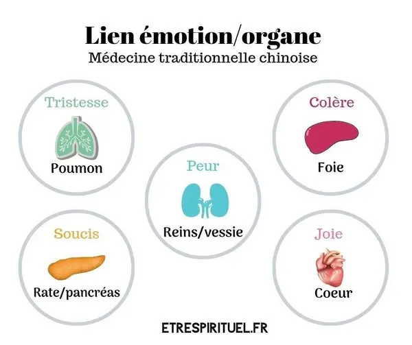 les Emotions ,colere,peur,triste... reflexologie , Abbeville, Charlotte Réflexo